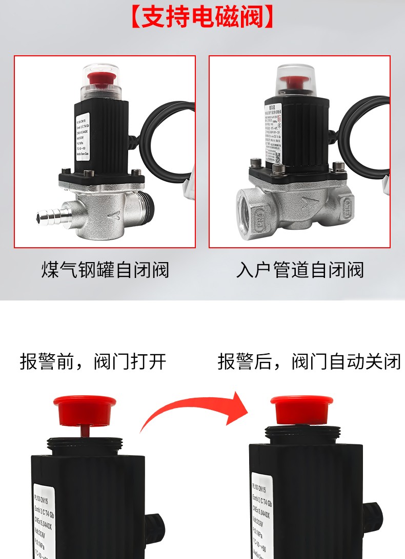燃?xì)鈭?bào)警器帶閥門(圖5)
